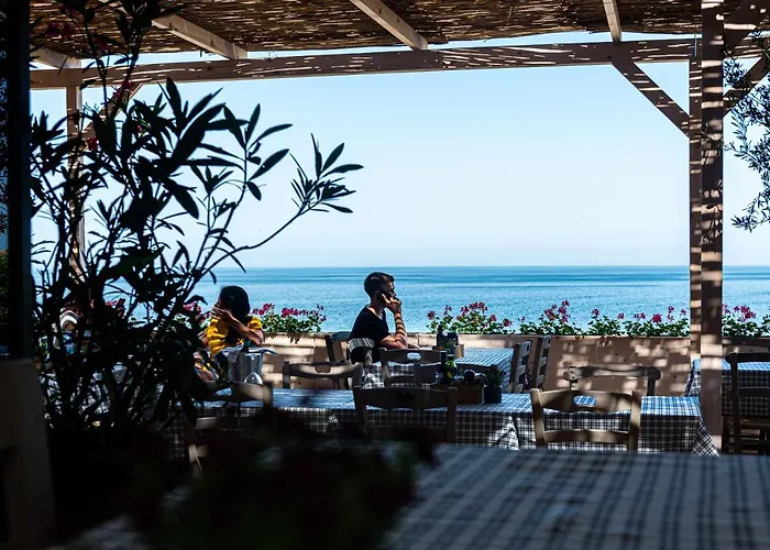 и Kаравани дрийм гардения * كيتن