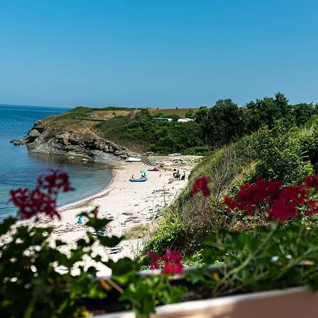 Kаравани дрийм гардения