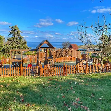 Kаравани дрийм гардения Китен