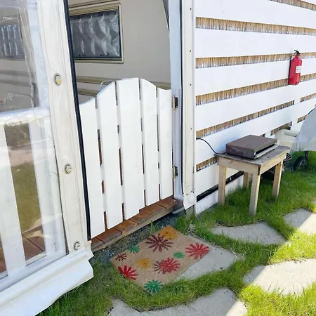 и Kаравани дрийм гардения