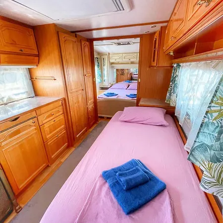 и Kаравани дрийм гардения *