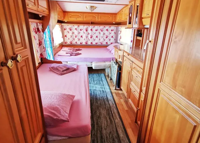 Kаравани дрийм гардения