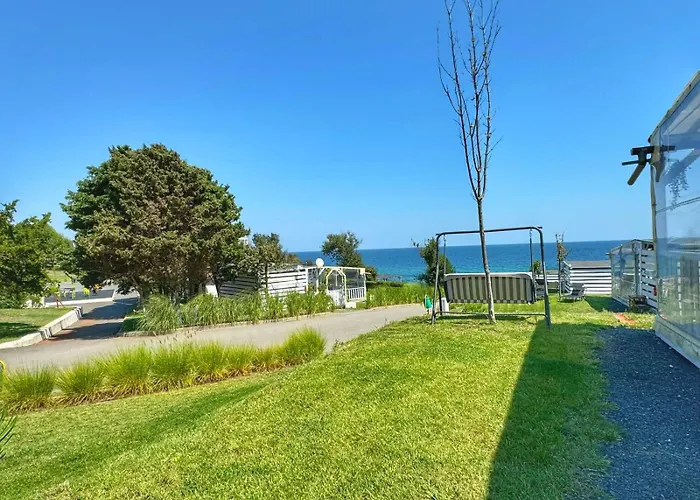 Kаравани дрийм гардения *