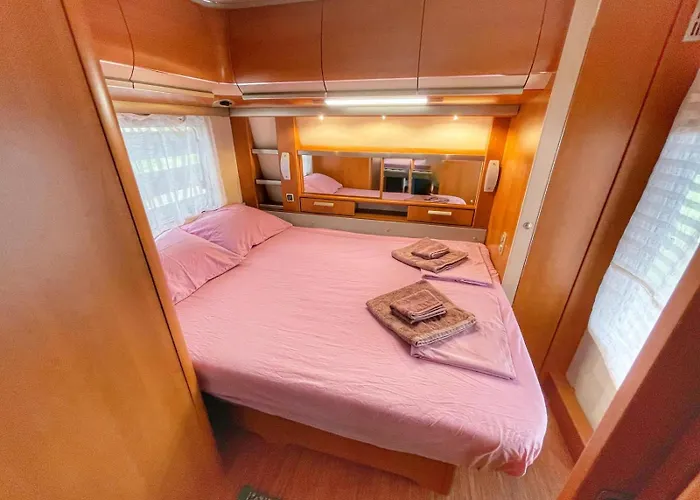 Kаравани дрийм гардения * Китен