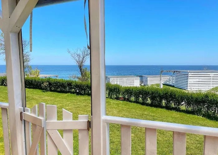 Kаравани дрийм гардения * Китен