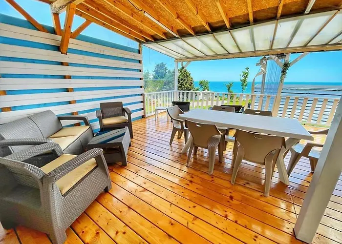 Kаравани дрийм гардения * Китен