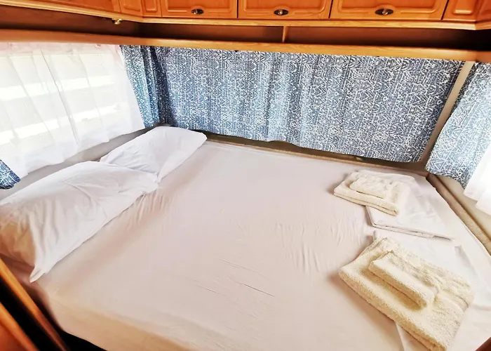 Kаравани дрийм гардения *