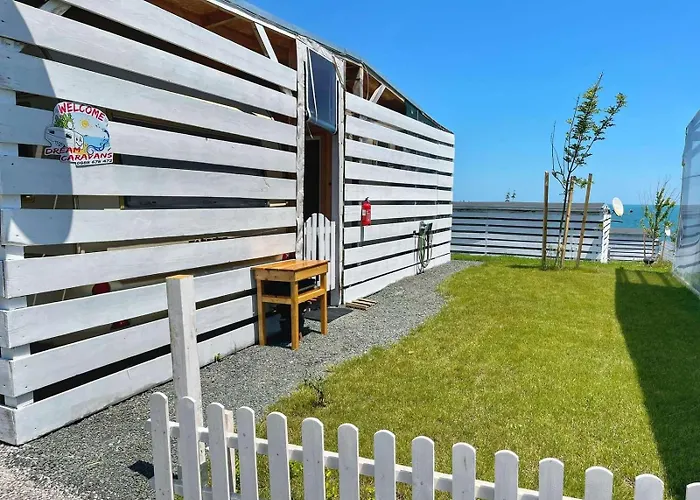 Kаравани дрийм гардения * Китен