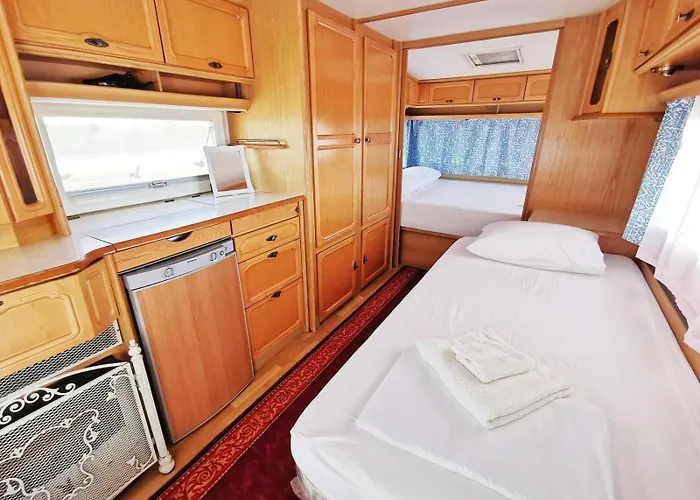 Kаравани дрийм гардения